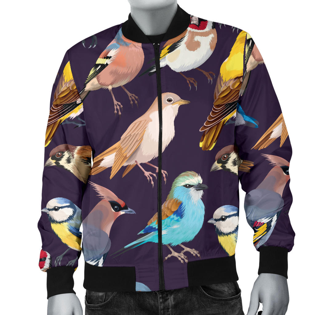 Bird Cute Print Pattern Men Bomber Jacket