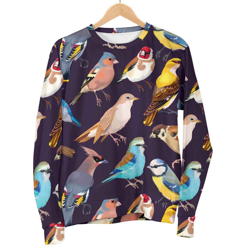Bird Cute Print Pattern Men Long Sleeve Sweatshirt
