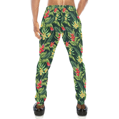 Tropical Folower Red Heliconia Print Men's Sweatpants