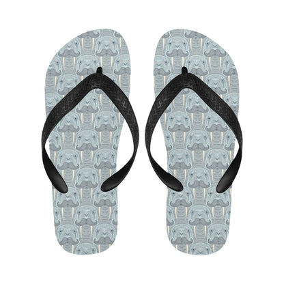 Walrus Print Design LKS402 Flip Flops