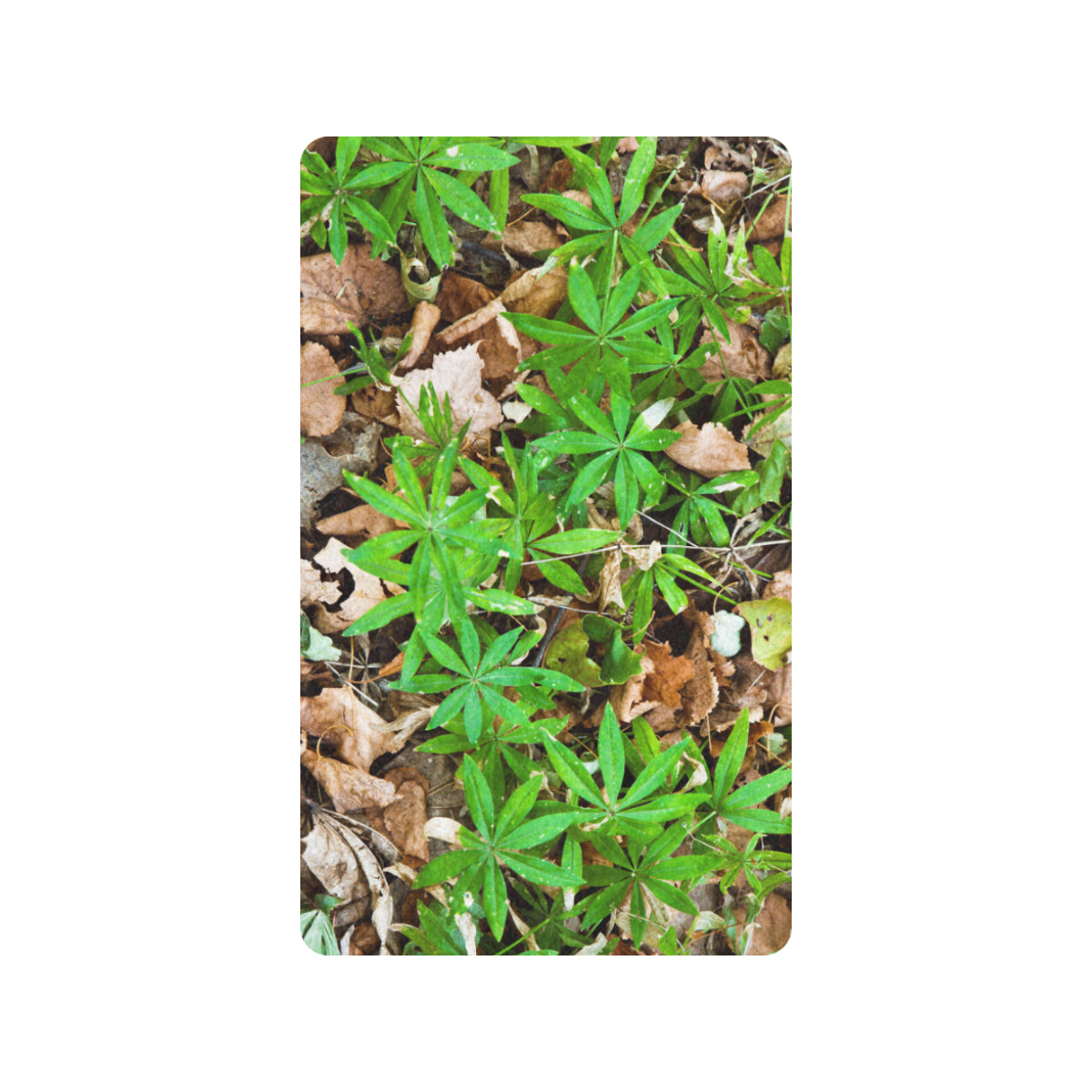 Camouflage Realistic Tree Fresh Print Rubber Doormat