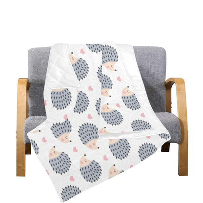 Hedgehog Baby Pattern Print Design 03 Premium Quilt