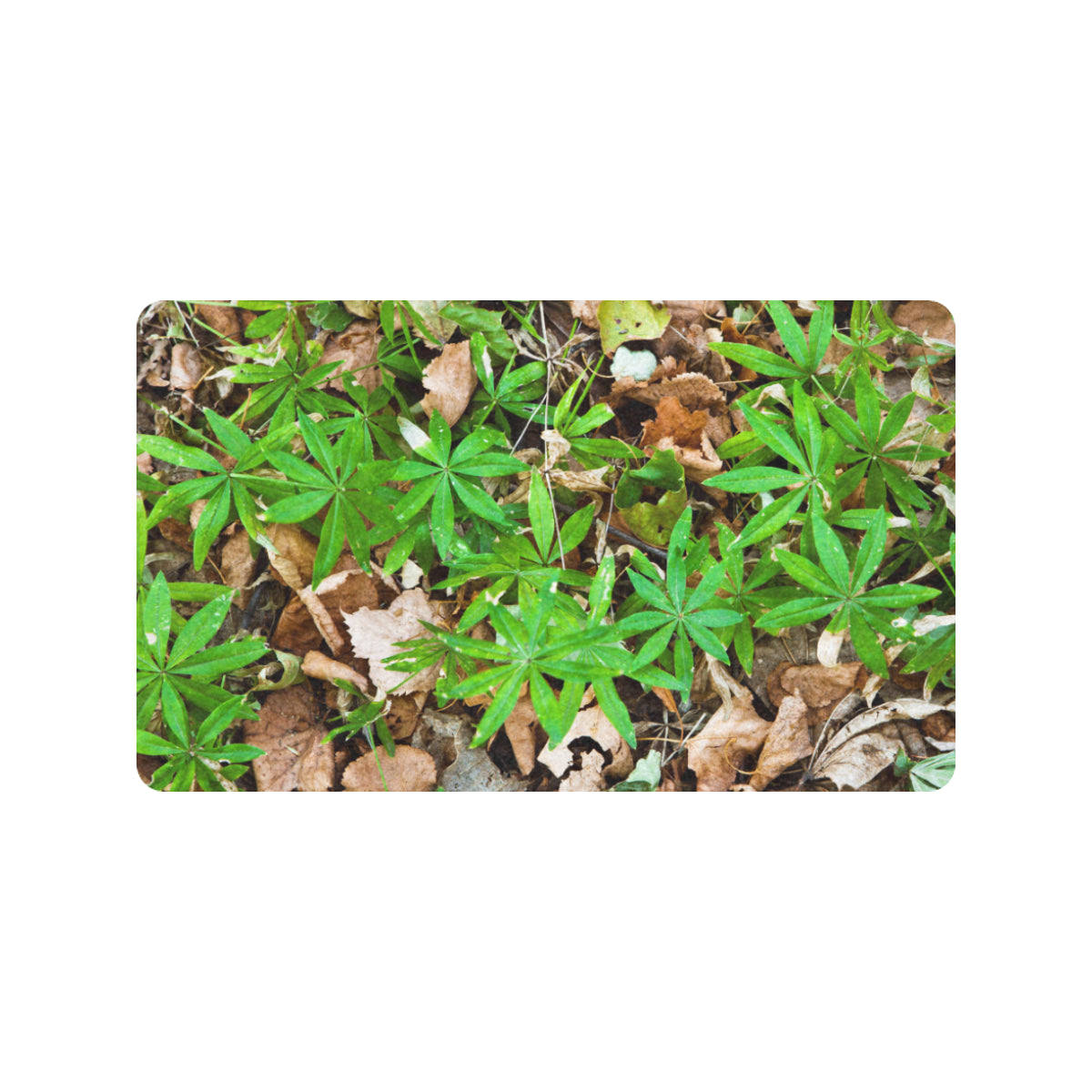 Camouflage Realistic Tree Fresh Print Rubber Doormat