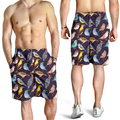 Bird Cute Print Pattern Mens Shorts-JTAMIGO.COM