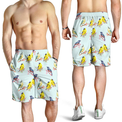 Bird Sweet Themed Print Pattern Mens Shorts-JTAMIGO.COM