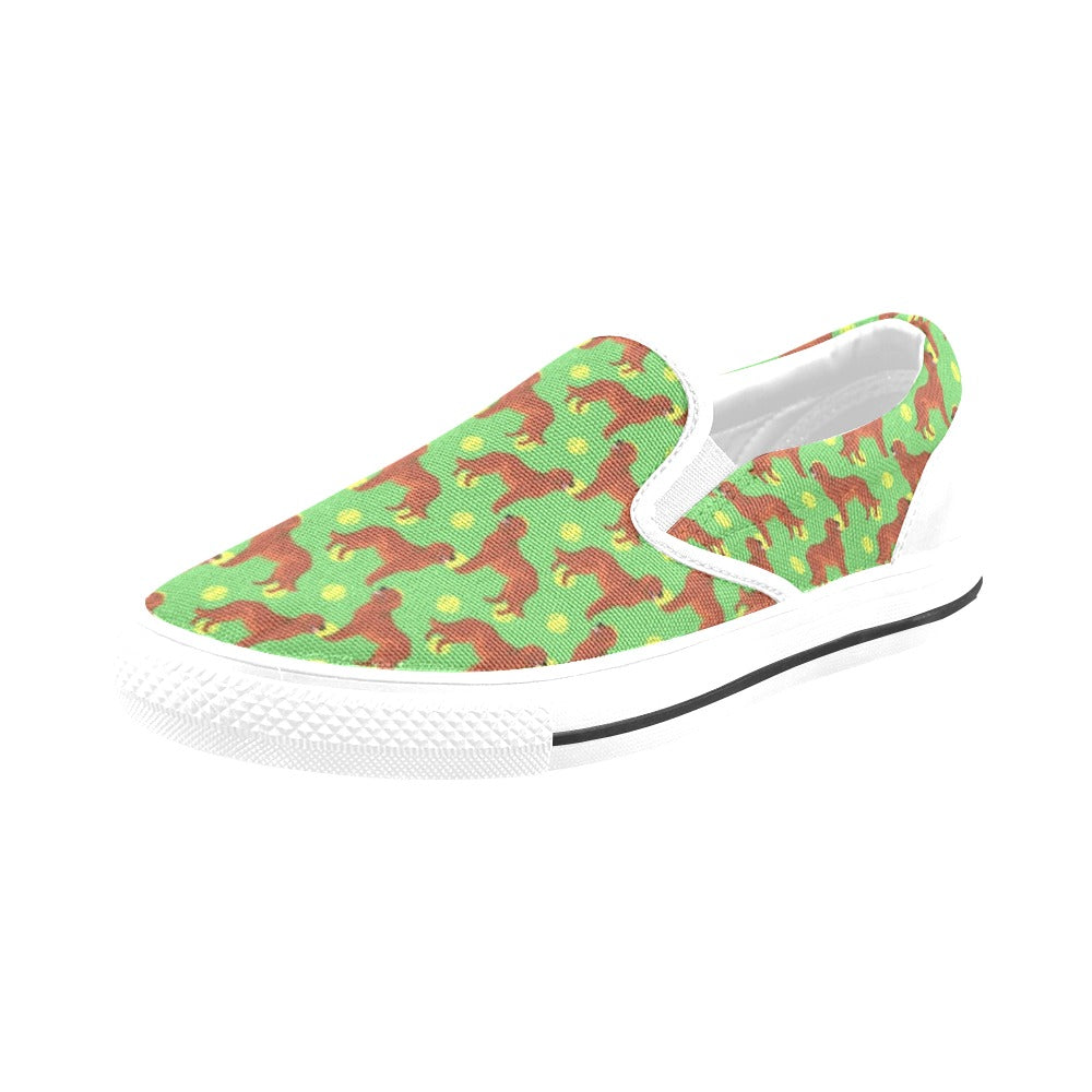 Setters Irish Print Design LKS302 White Slip Ons Canvas Women's Shoes