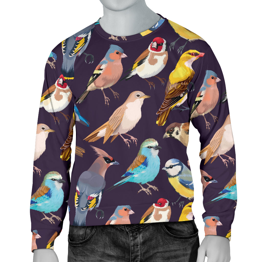 Bird Cute Print Pattern Men Long Sleeve Sweatshirt