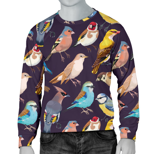 Bird Cute Print Pattern Men Long Sleeve Sweatshirt