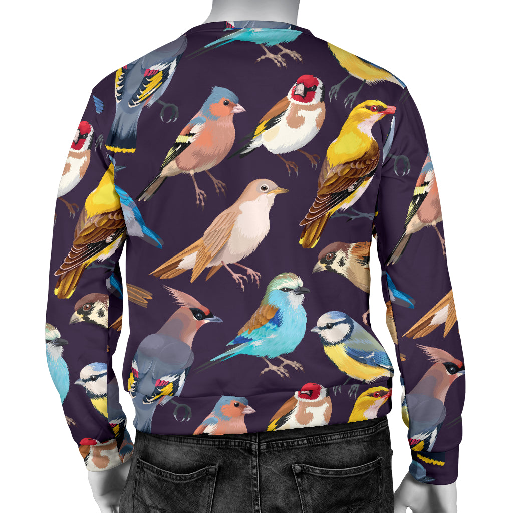 Bird Cute Print Pattern Men Long Sleeve Sweatshirt