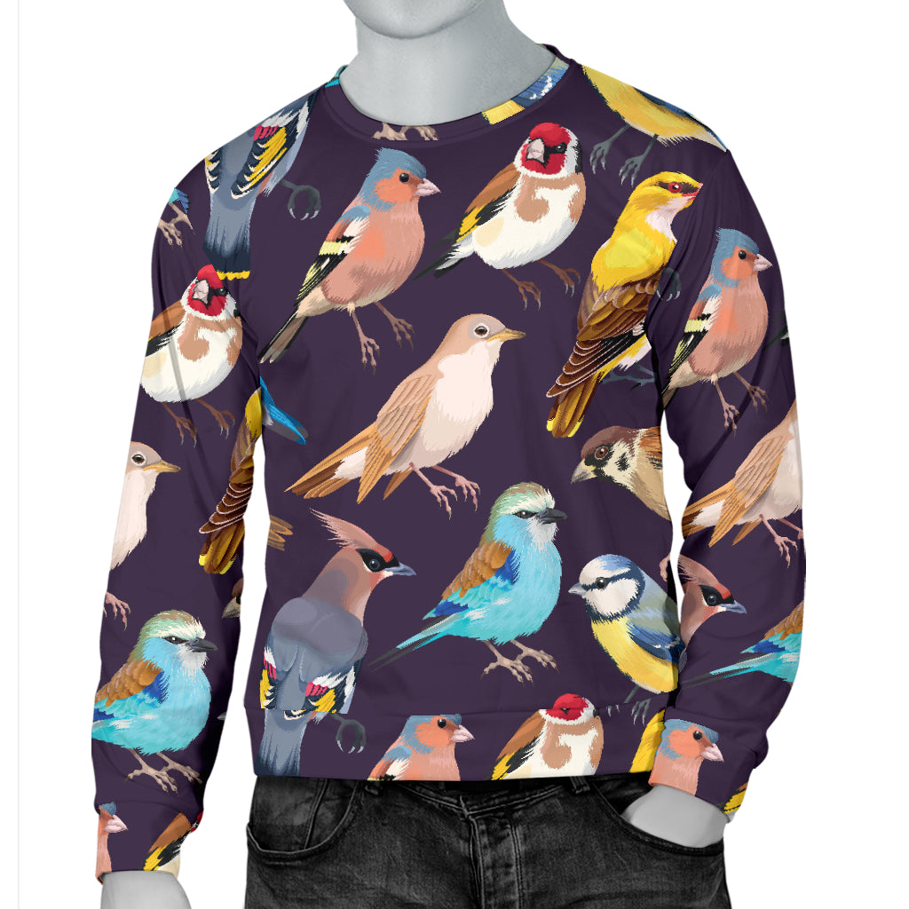 Bird Cute Print Pattern Men Long Sleeve Sweatshirt