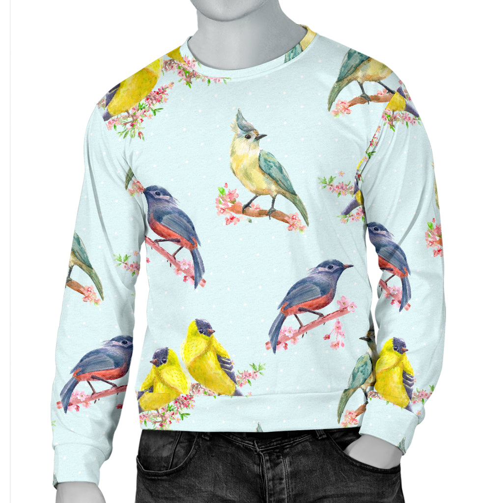 Bird Sweet Themed Print Pattern Men Long Sleeve Sweatshirt