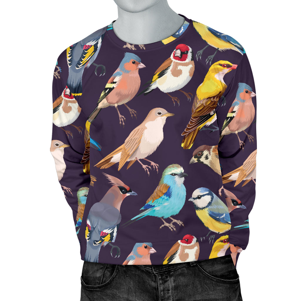 Bird Cute Print Pattern Men Long Sleeve Sweatshirt