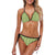 Trumpet Vintage Design Print Bikini Swimsuit-JTAMIGO.COM